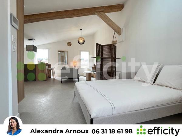 Appartement 1 pièce - 46 m²