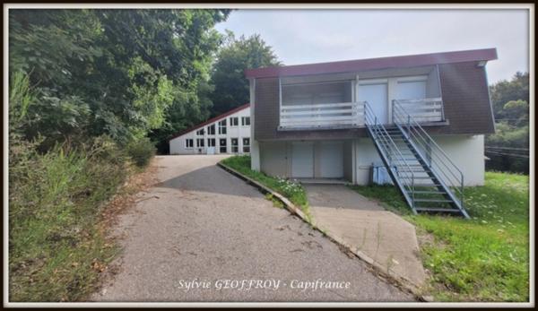 Colonie de vacances ou propriété équestre à vendre à PEXONNE (54)