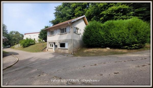 Colonie de vacances ou propriété équestre à vendre à PEXONNE (54)