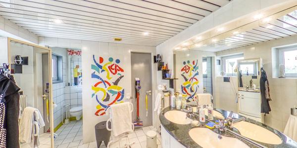 Dpt Haut-Rhin (68), à vendre MULHOUSE maison d'architecte 372 m2 dans son magnifique jardin