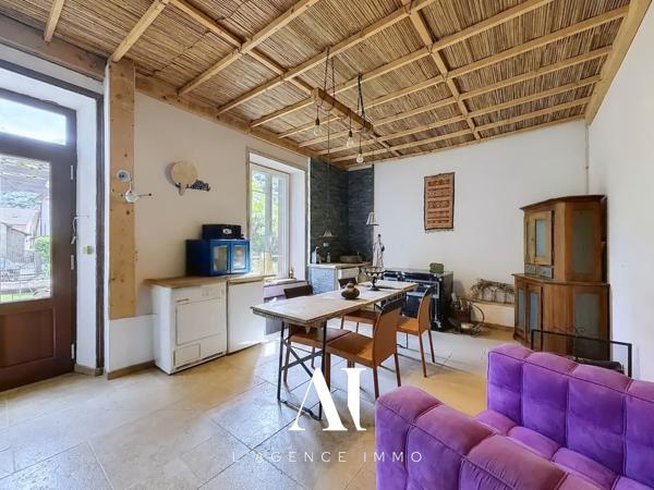 Maison individuelle 9 pièces, 237 m²  utiles, 2 grandes pièces de vie, 2 terrasses, jardin, cave, atelier, combles aménagées, idéale résidence principale ou secondaire dans un cadre naturel exceptionnel , CHALEY 01230