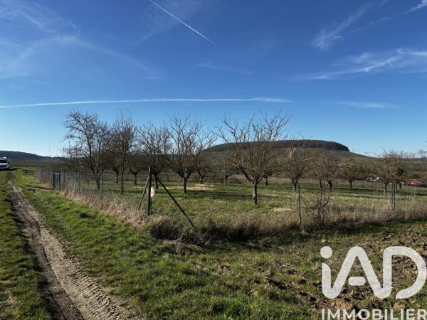 Terrain à vendre 2 011 m² Festigny