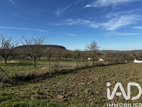 Terrain à vendre 2 011 m² Festigny