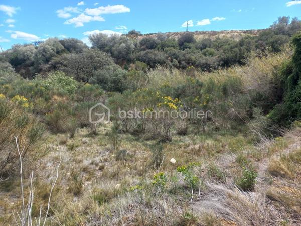 Terrain de 4 440 m²