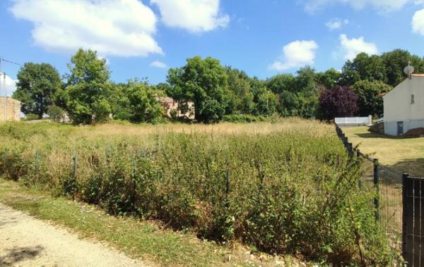 Vente Terrain Ecoyeux   
