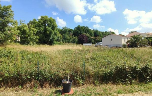 Vente Terrain Ecoyeux   