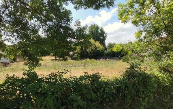 Vente Terrain Ecoyeux   