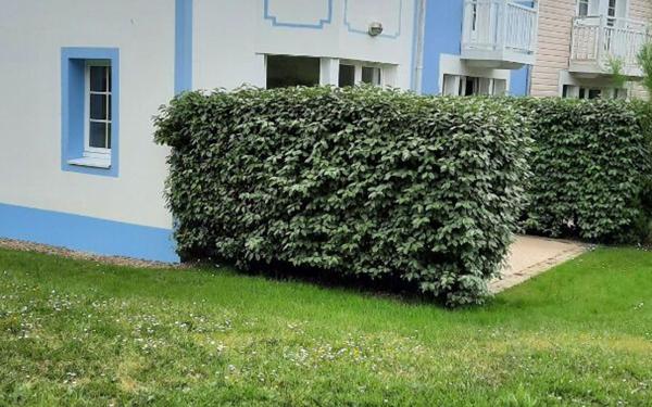 Maison à vendre    4 pièces •  Talmont-Saint-Hilaire