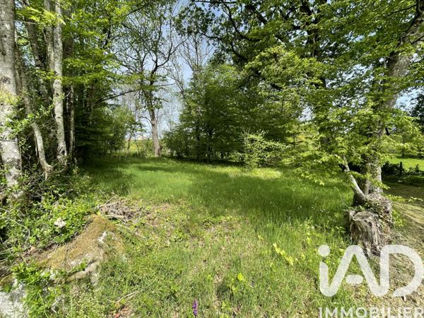 Terrain à vendre 355 m² Droiturier