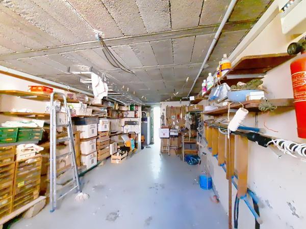 Maison 3 faces de plain pied avec jardin et garage