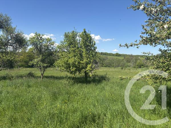 Terrain à vendre  2080 m2 CHENEBIER - 70