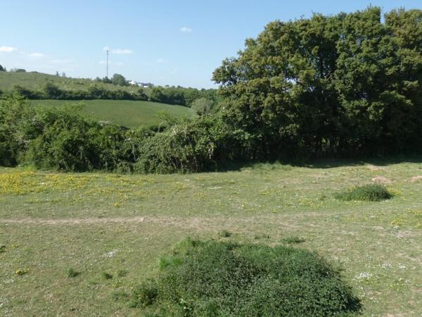 Vente / Maison avec dépendance