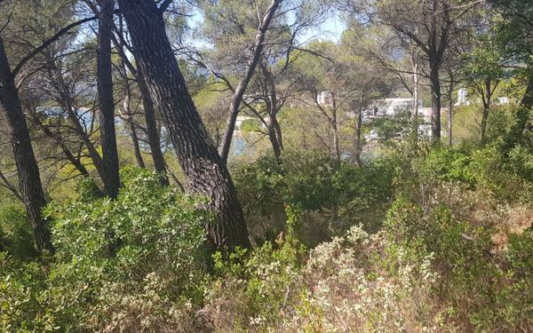 Terrain à vendre    La Roque-d'Anthéron