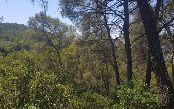 Terrain à vendre    La Roque-d'Anthéron