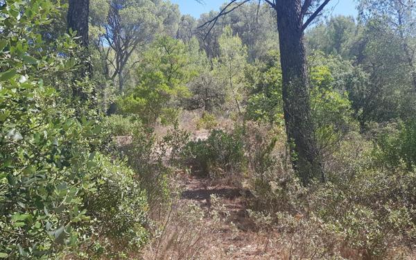 Terrain à vendre    La Roque-d'Anthéron