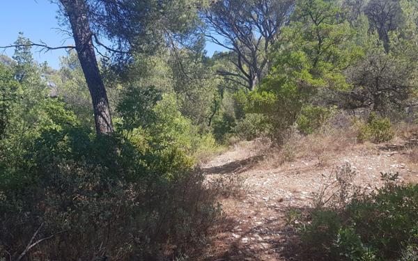 Terrain à vendre    La Roque-d'Anthéron