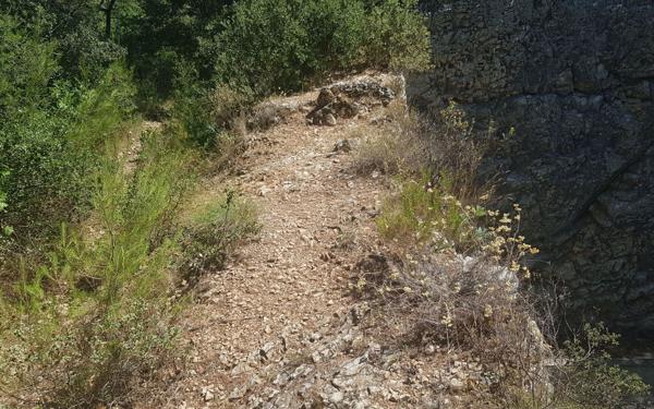 Terrain à vendre    La Roque-d'Anthéron