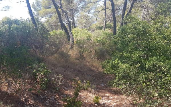 Terrain à vendre    La Roque-d'Anthéron