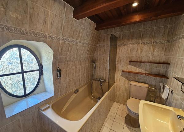 Château 278 m²  Saint-Alban-sur-Limagnole (Lozère)