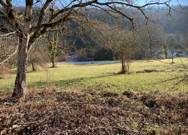 Terrain à vendre    1 585 m2 Terrasson-Lavilledieu