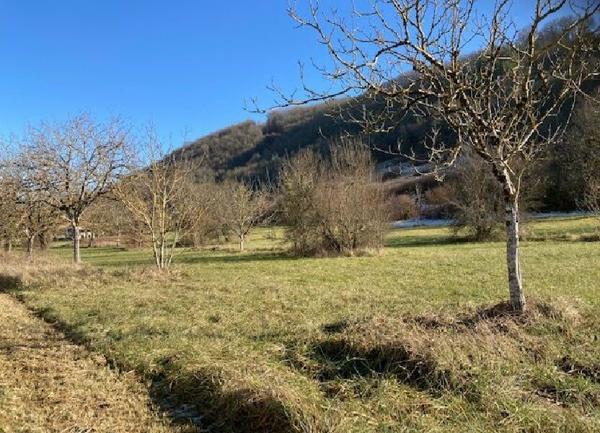 Terrain à vendre    1 585 m2 Terrasson-Lavilledieu