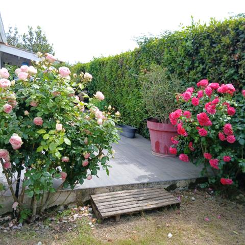Maison Noirmoutier En L'ile 4 pièce(s)