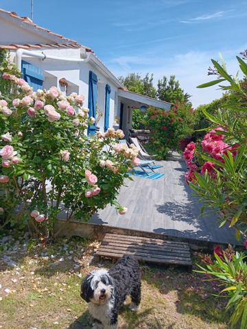 Maison Noirmoutier En L'ile 4 pièce(s)