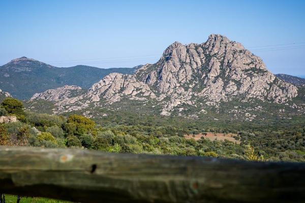 Saint-Florent (20217) Auberge restaurant à 15 minutes de Saint-Florent et à deux pas du chemin de la plage de Saleccia !!!!