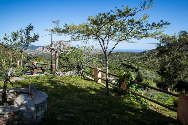 Saint-Florent (20217) Auberge restaurant à 15 minutes de Saint-Florent et à deux pas du chemin de la plage de Saleccia !!!!