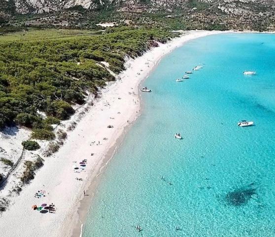 Saint-Florent (20217) Auberge restaurant à 15 minutes de Saint-Florent et à deux pas du chemin de la plage de Saleccia !!!!